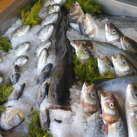 Nocleg ze śniadaniem Deniz Kizi Garden *