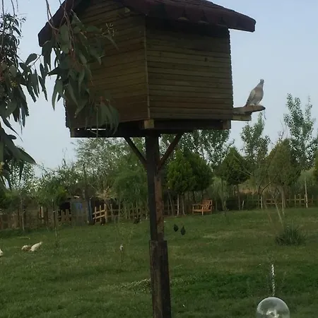 Nocleg ze śniadaniem Deniz Kizi Garden