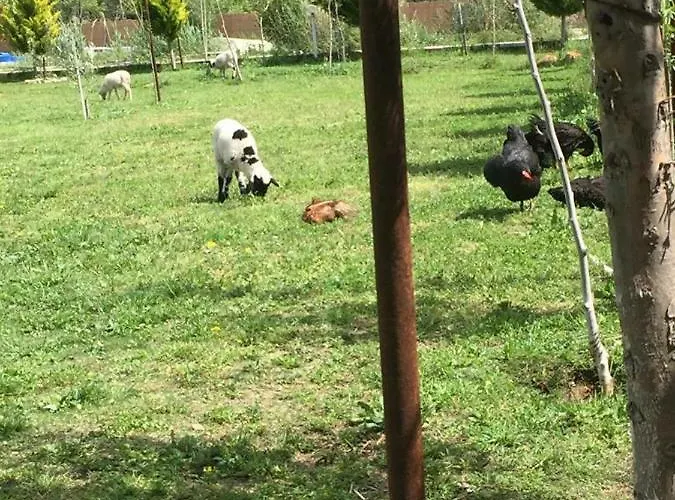 לינה וארוחת בוקר Deniz Kizi Garden *