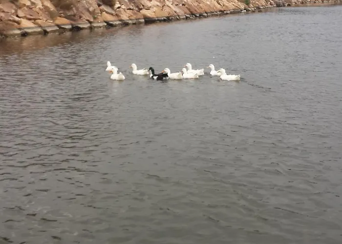 Bed & Breakfast Deniz Kizi Garden *