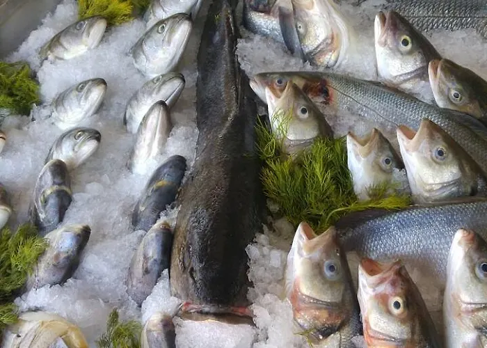 Bed & Breakfast Deniz Kizi Garden *